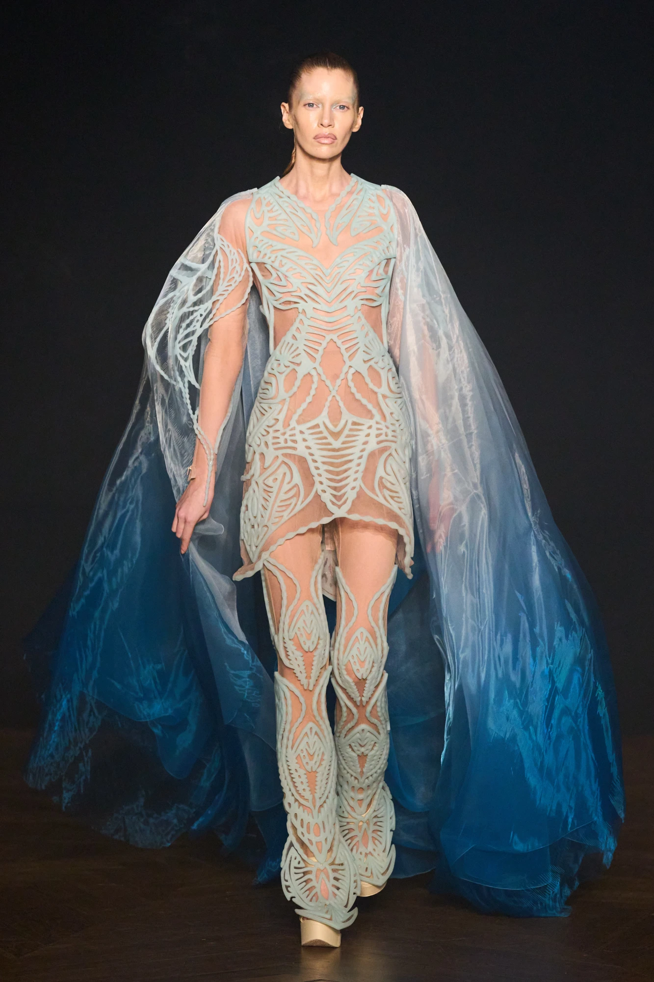 Iris Van Herpen haute couture осінь-зима — 2025/26