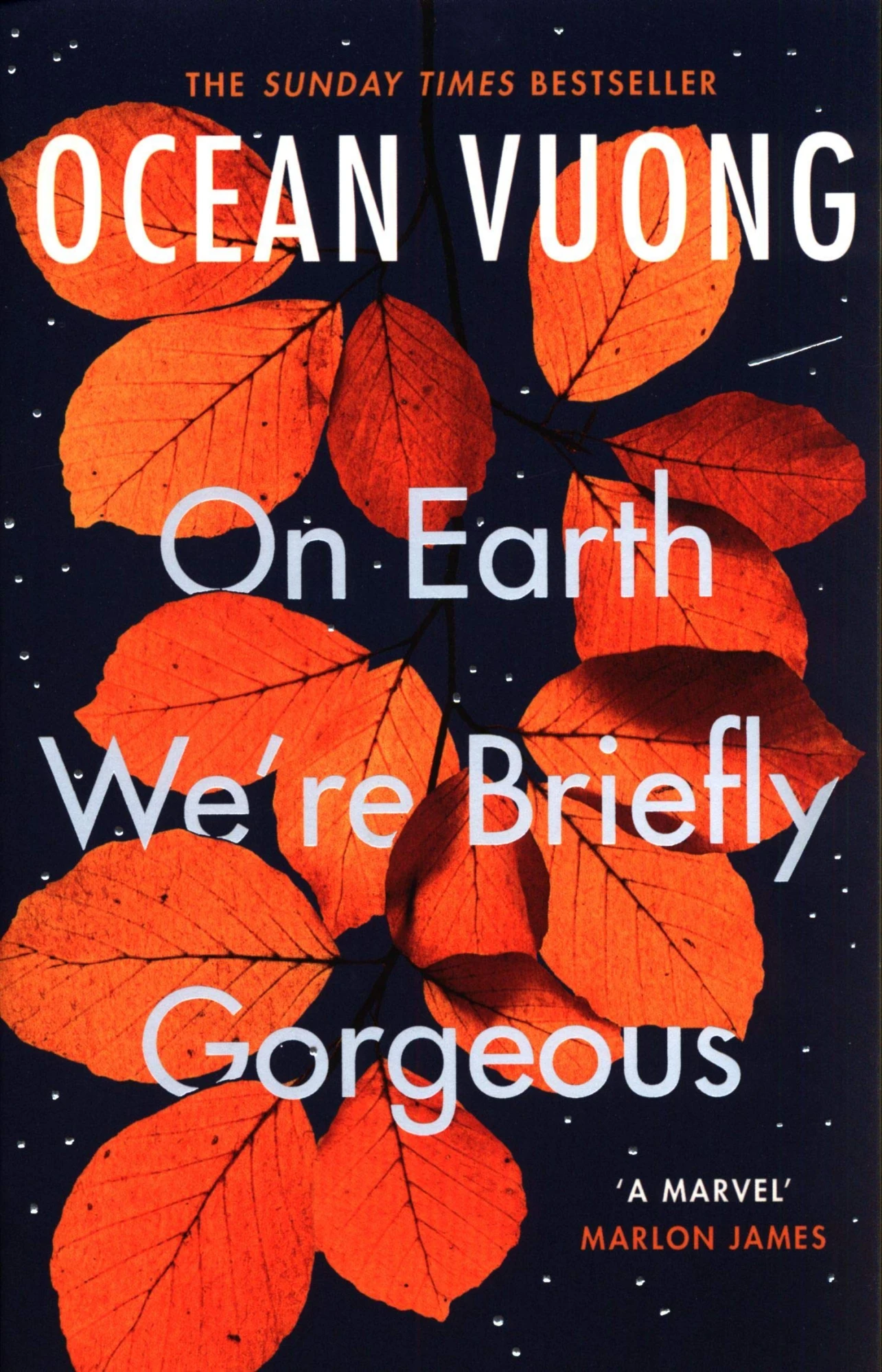 On Earth We're Briefly Gorgeous, Оушен Вуонг 