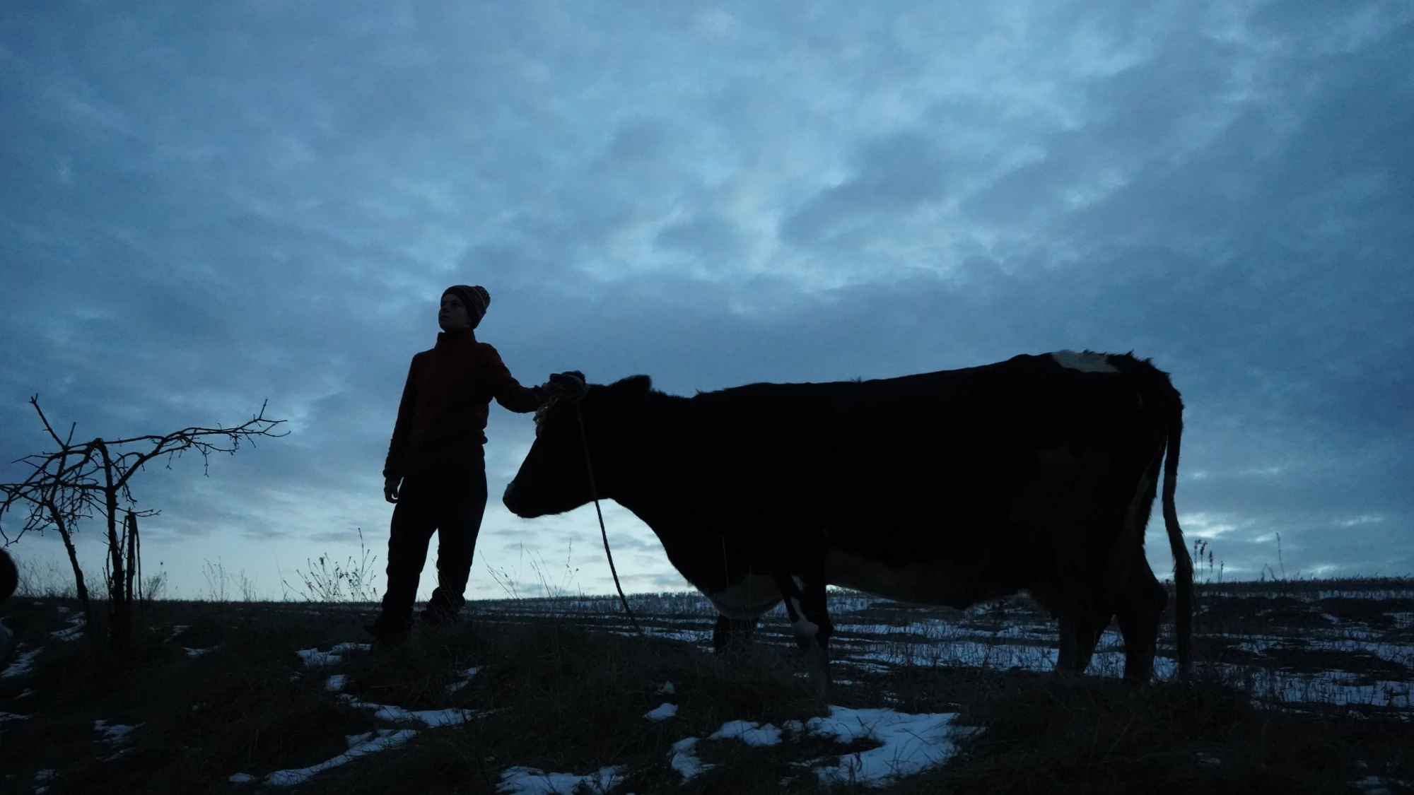 Фільм «Війна очима тварин» Шон Пенн