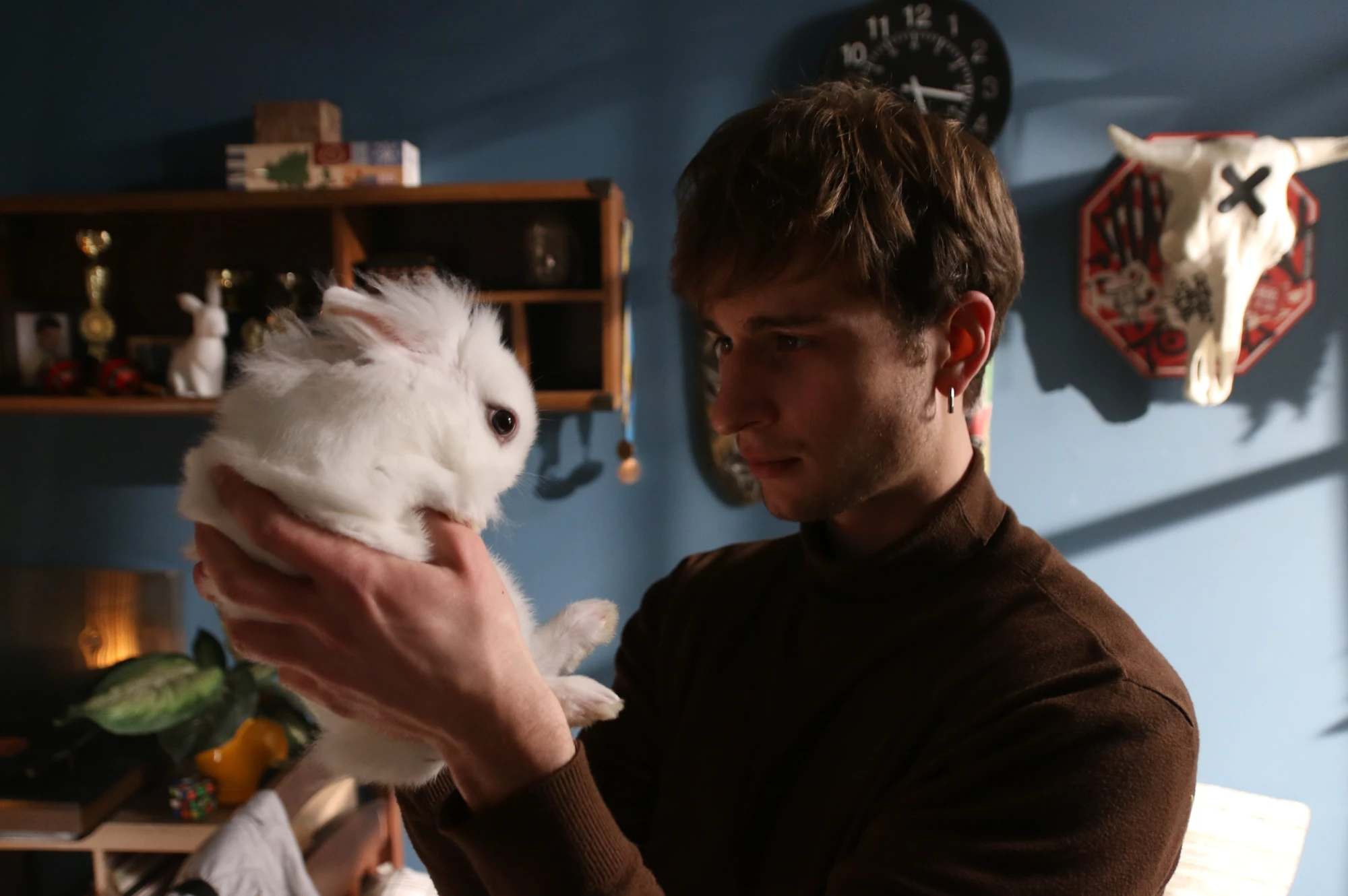 Український фільм «Війна очима тварин»