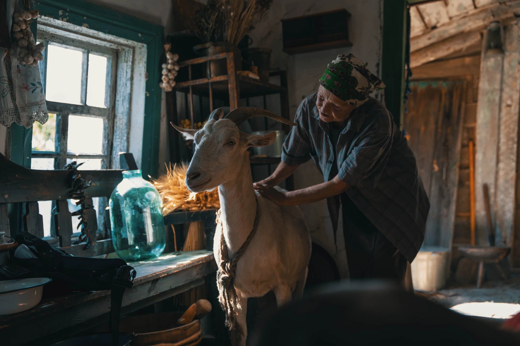 Найкращі українські фільми 2025