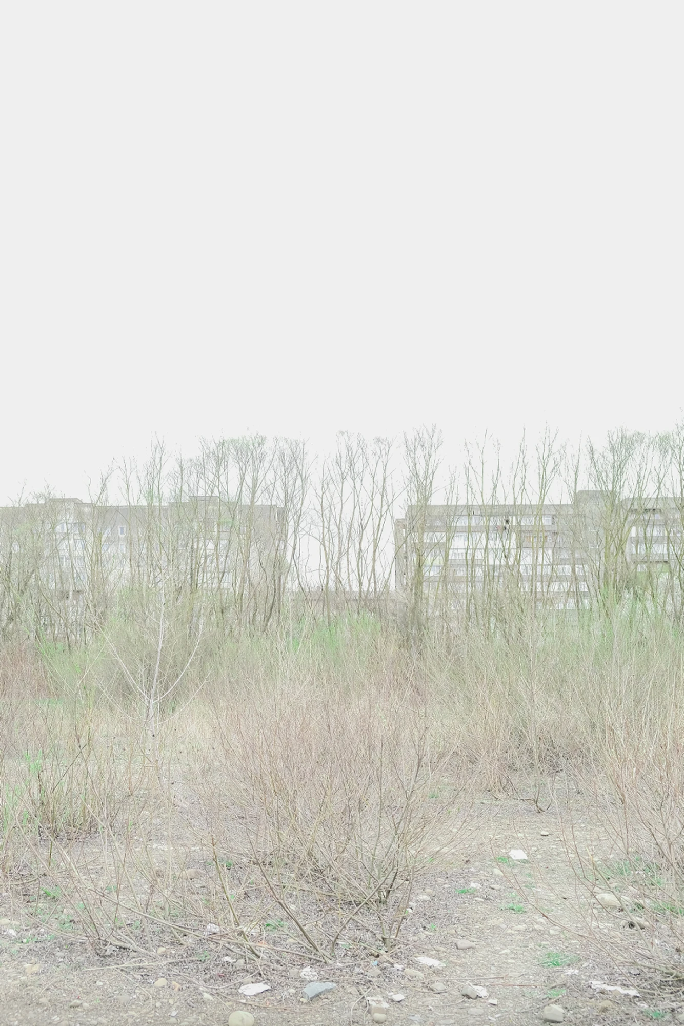 Художня фотографія