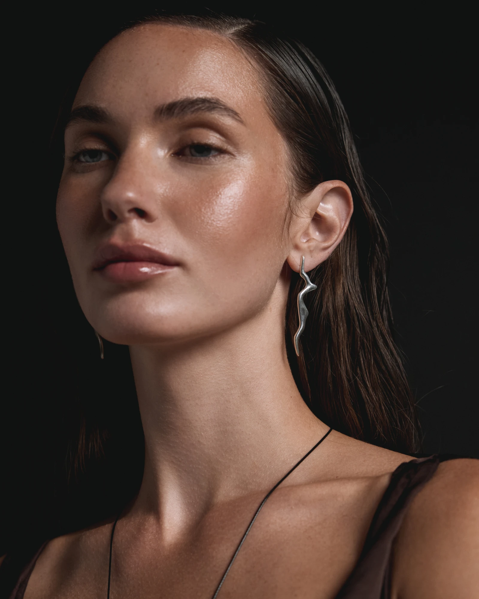 Сережки Sierra Space 