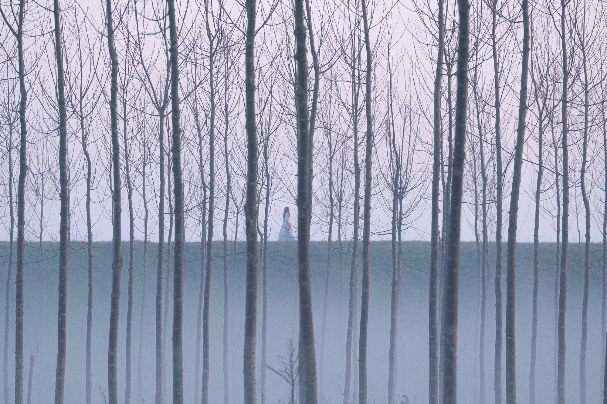 Фільм Паоло Соррентіно «Благодать»