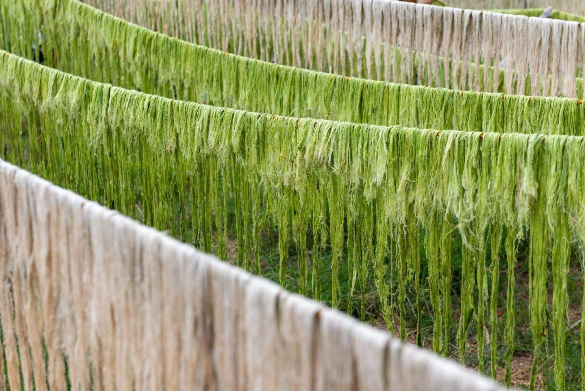 інноваційний матераіл з ананасу