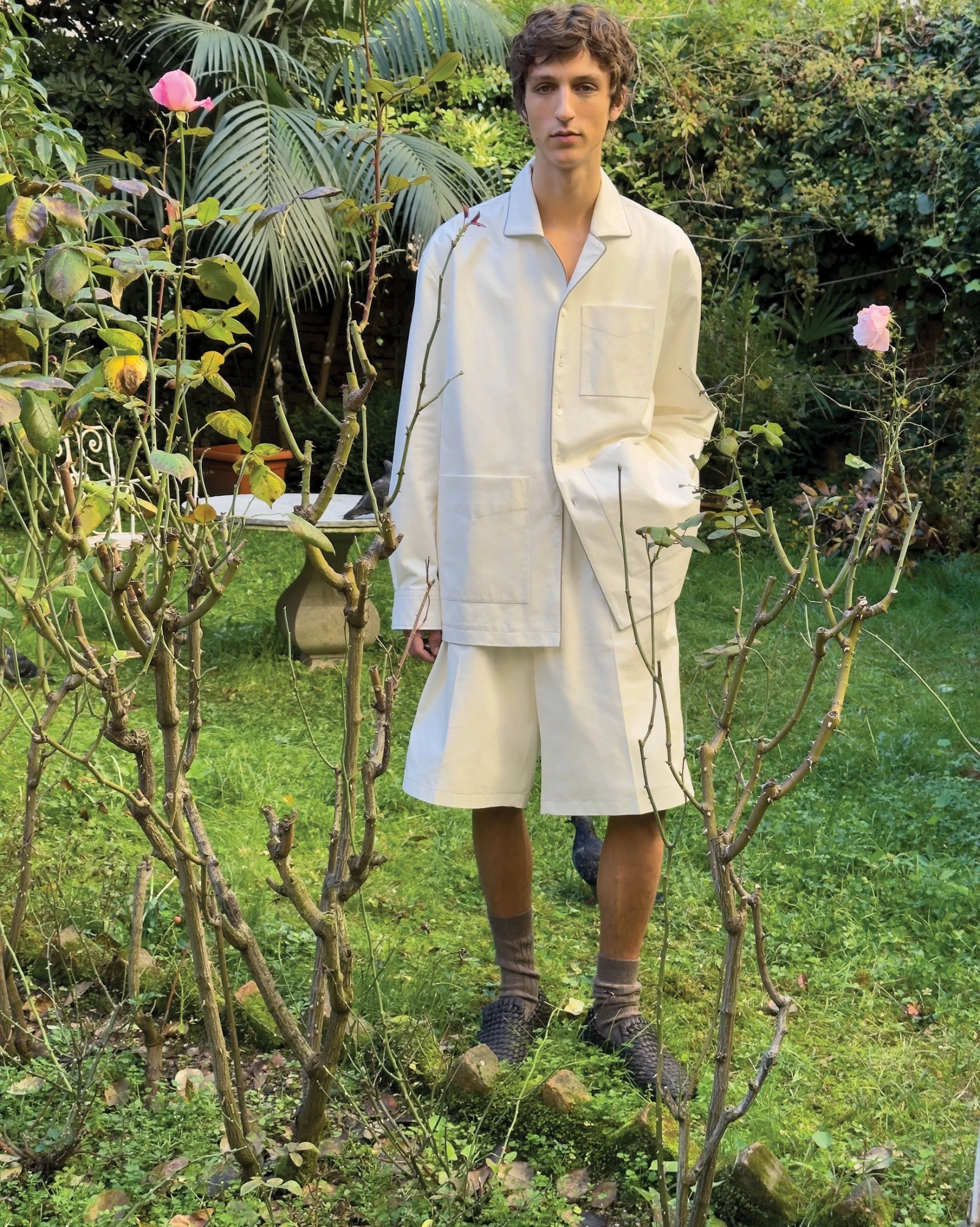 Нова рекламна кампанія Луїз Троттер для Bottega Veneta