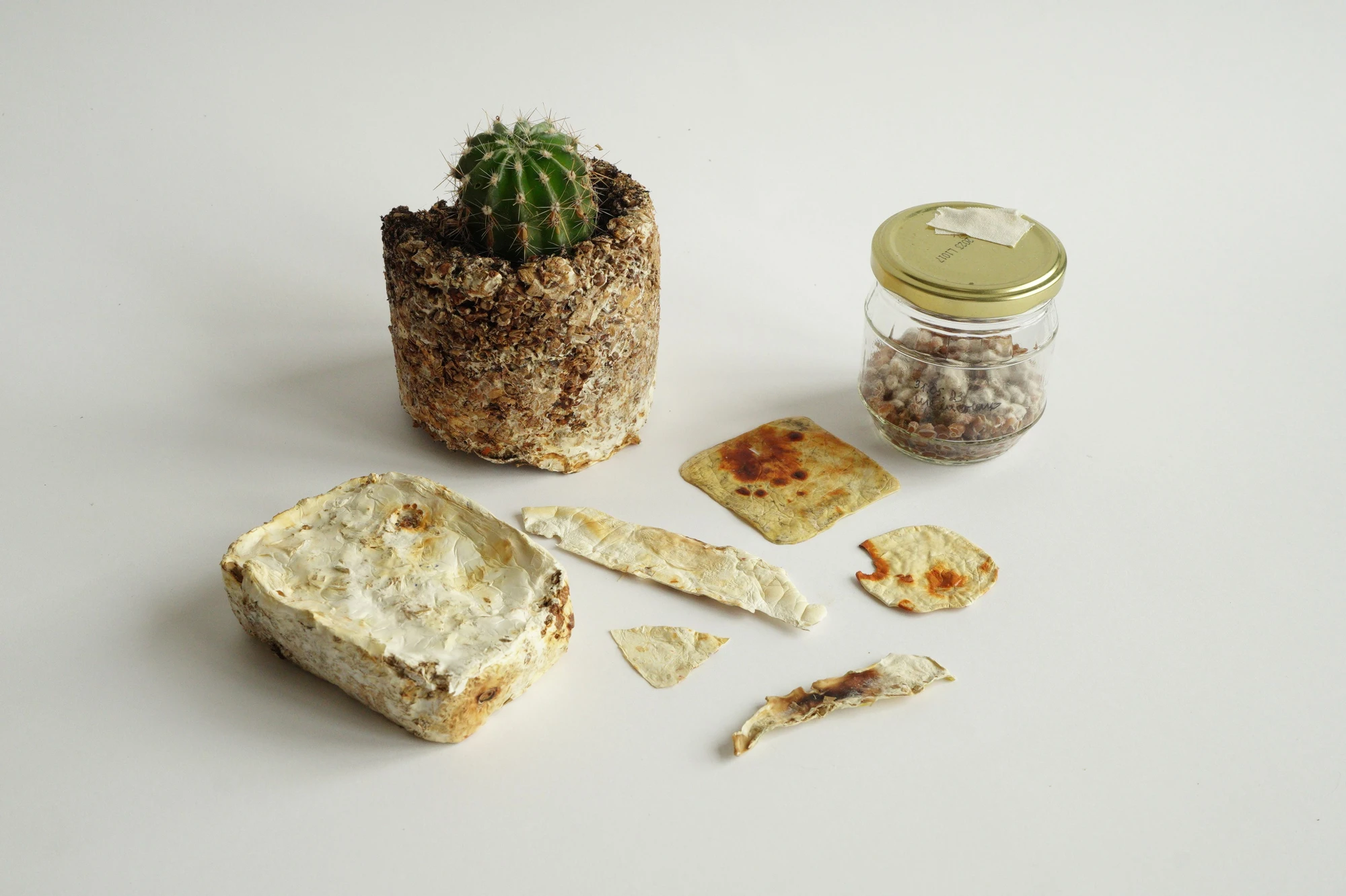 міцелій український бренд