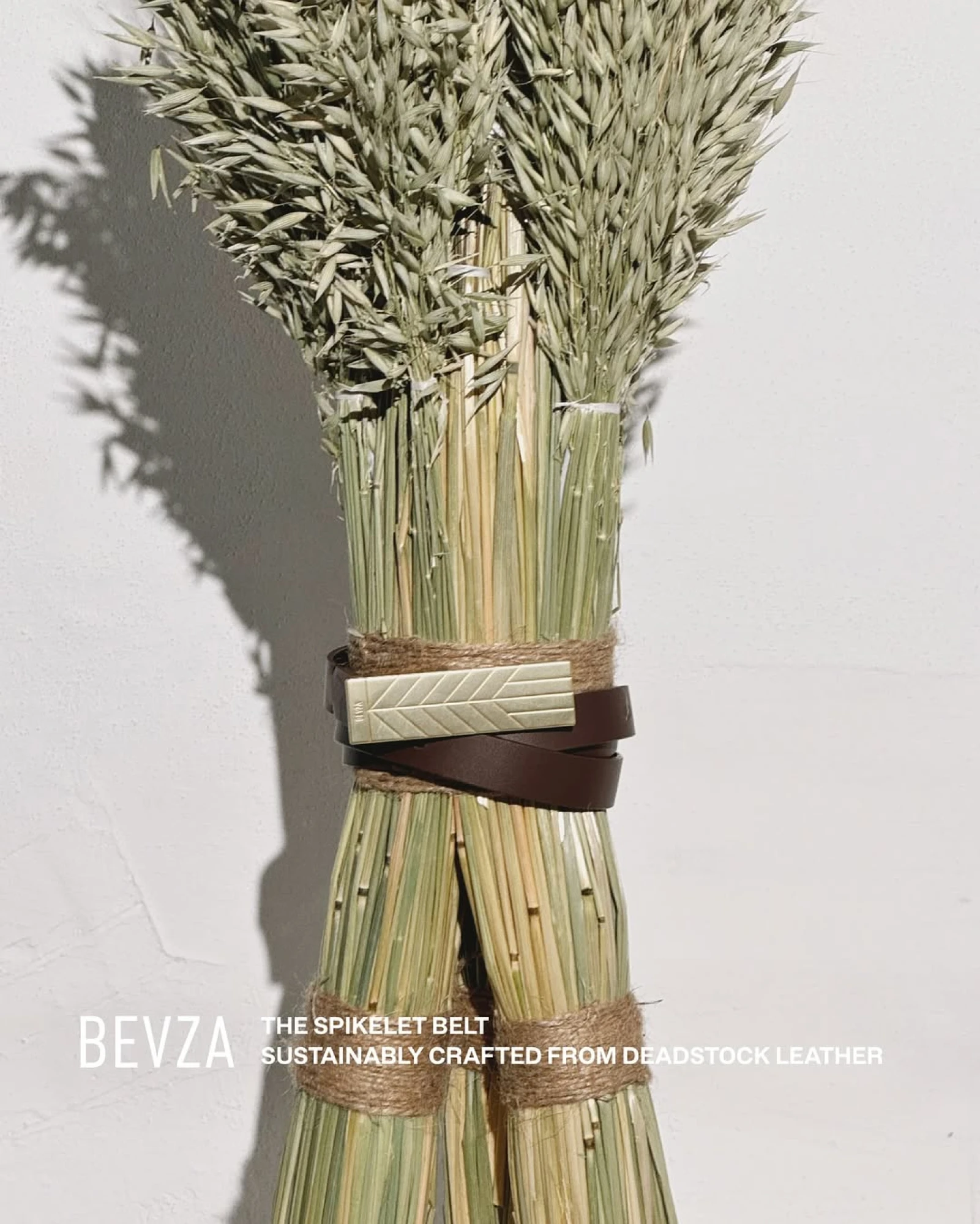 Бевза кампейн