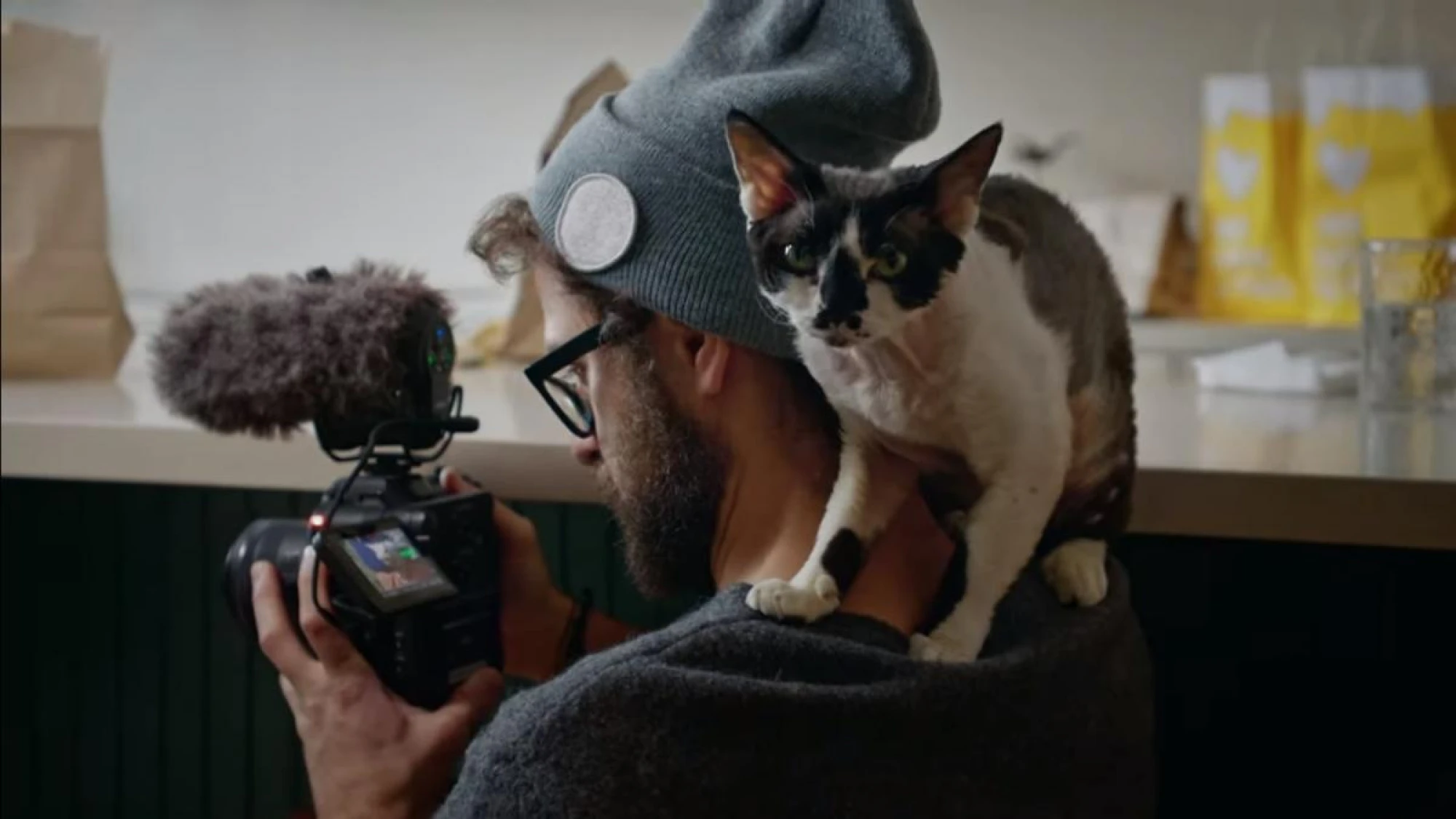 Ми, наші улюбленці та війна