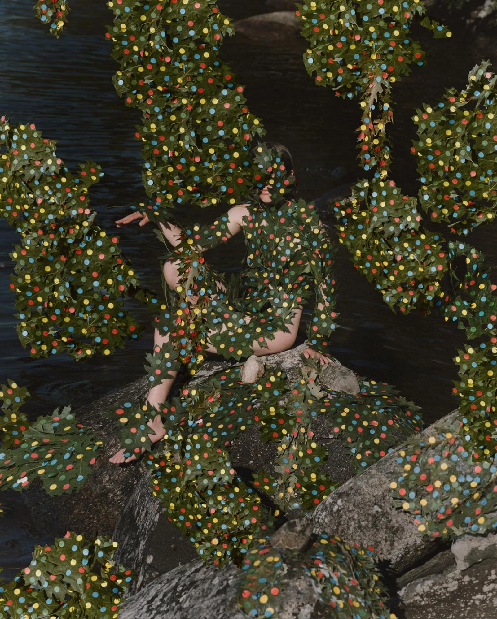Synchrotania фото