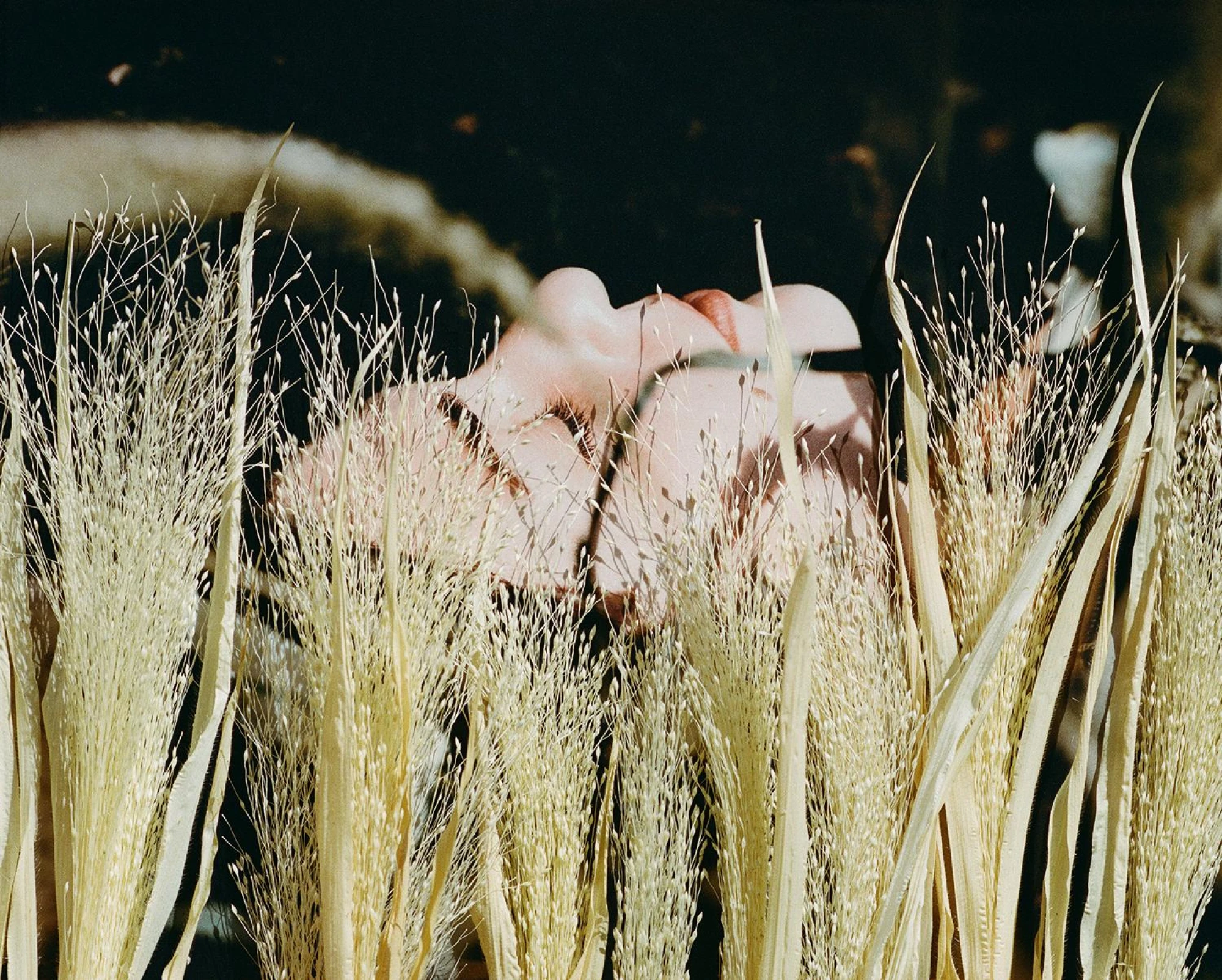 Synchrotania