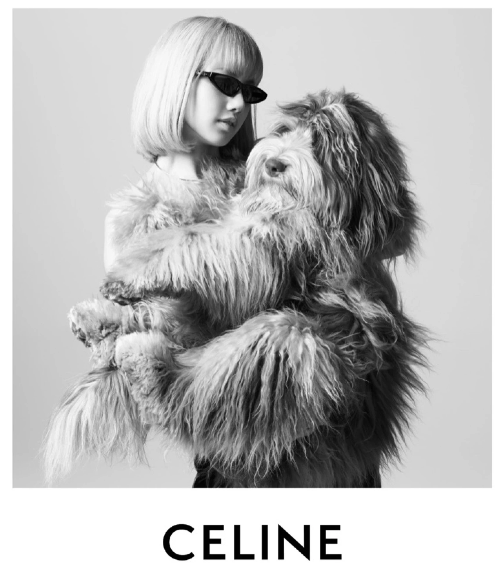 Пес Елвіс у рекламній кампанії Celine