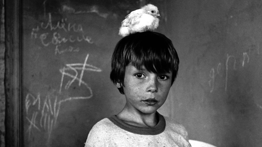 В Ist Publishing вийшла книга фотографій Олександра Глядєлова