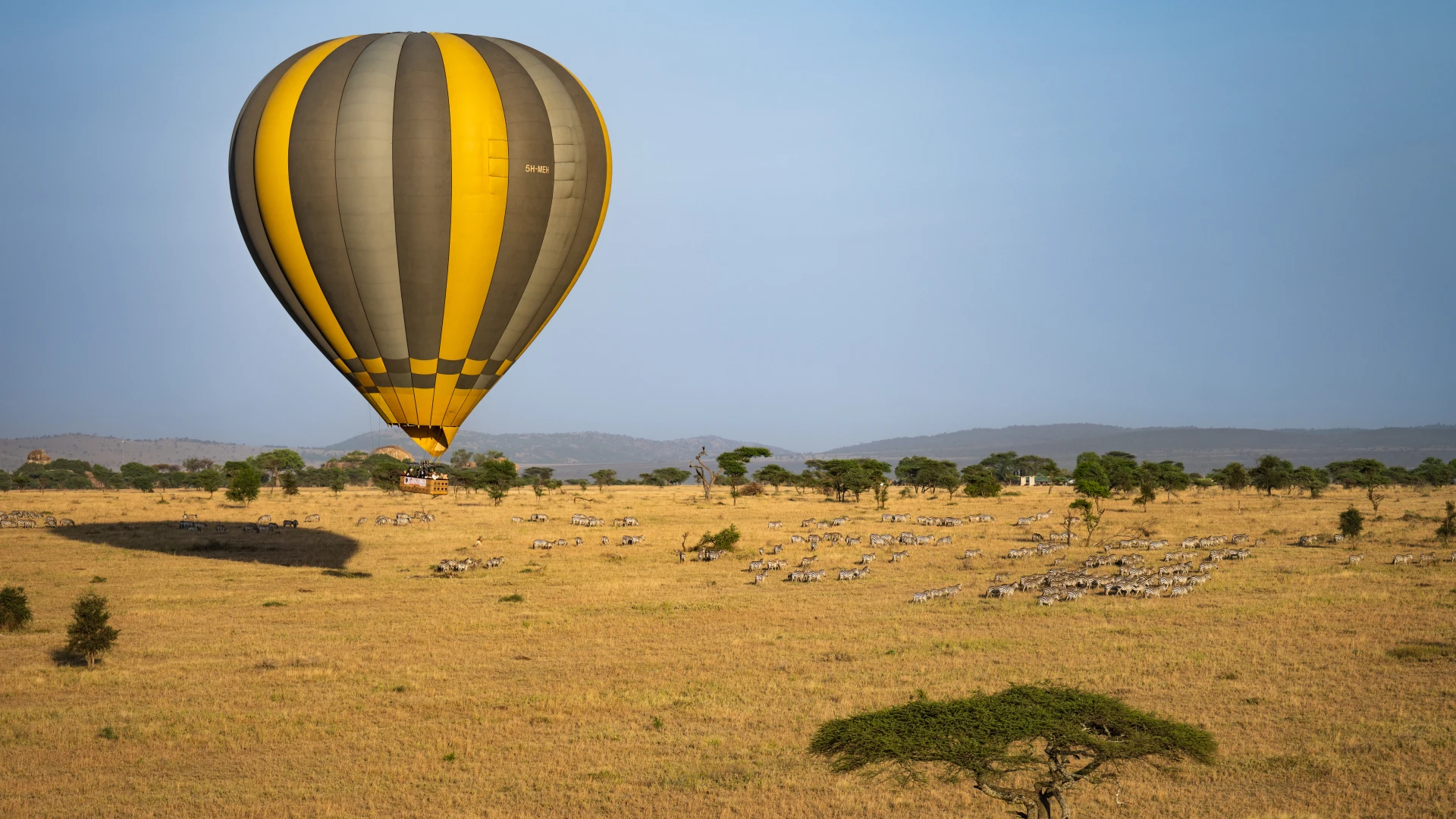 Сафарі, що торкається серця