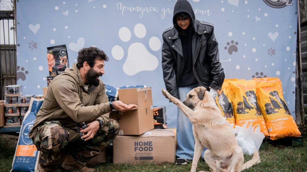 Світло, що зігріває зиму: як одна ініціатива рятує тисячі тварин