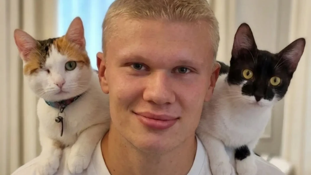 Ефект Самсона: чому нову стрижку Голанда вже звинувачують у промахах
