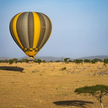 Сафарі, що торкається серця