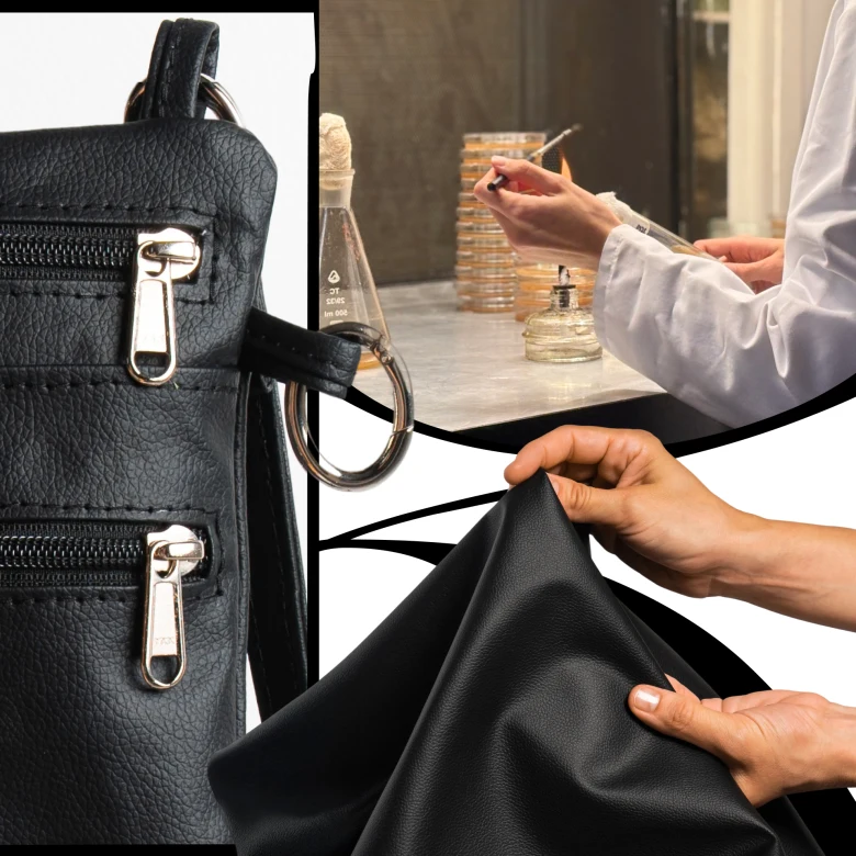 Інноваційний код стійкості: як Mycelia Tech змінює правила сталого дизайну за допомогою міцелію