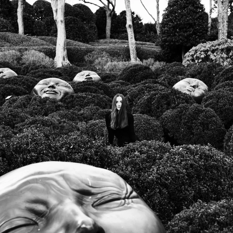 Квантове мислення: життя як поле можливостей, а не заздалегідь визначений маршрут