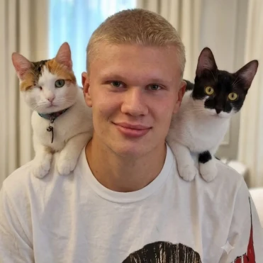 Ефект Самсона: чому нову стрижку Голанда вже звинувачують у промахах