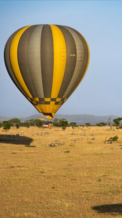 Сафарі, що торкається серця