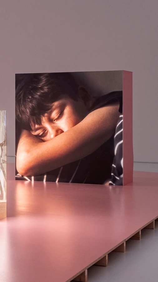 У Музеї Тіссен-Борнеміса покажуть виставку українських художників Яреми Малащука і Романа Хімея