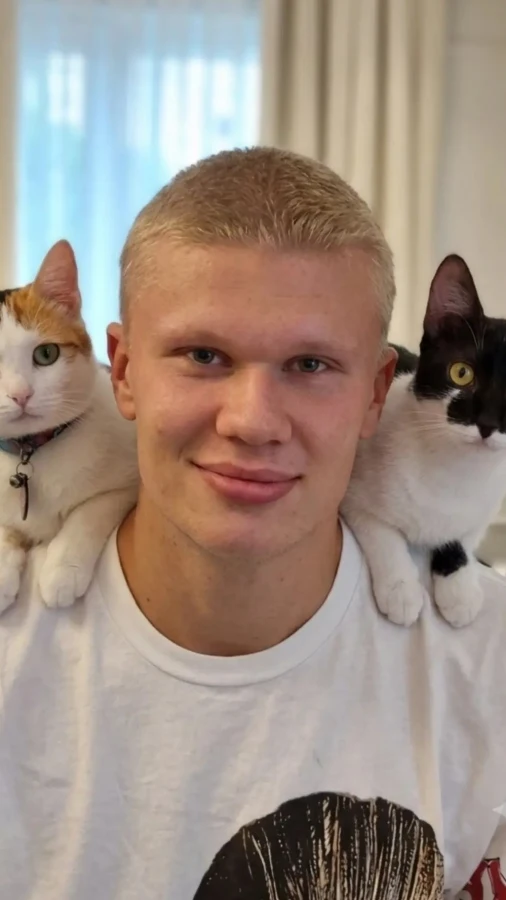 Ефект Самсона: чому нову стрижку Голанда вже звинувачують у його невдачах на полі