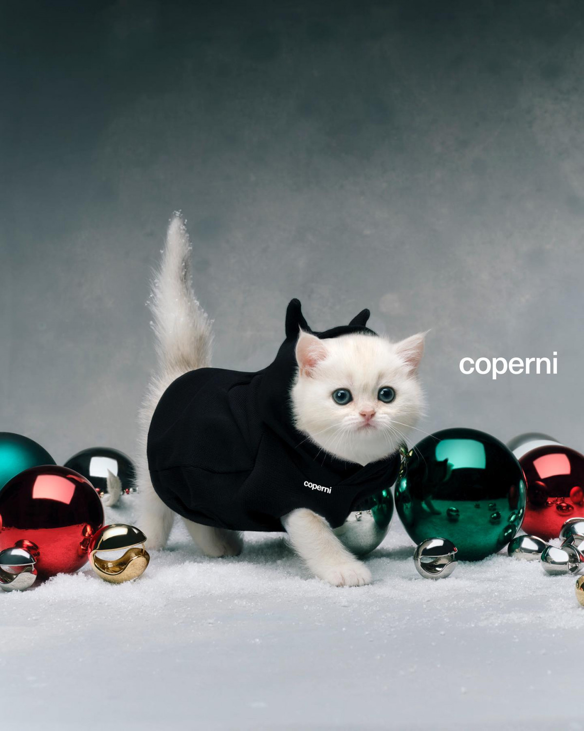 Зимовий кампейн Coperni